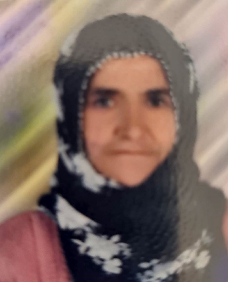 TARSUS’TA OTOMOBİLİN ÇARPTIĞI YAŞLI KADIN HAYATINI KAYBETTİ