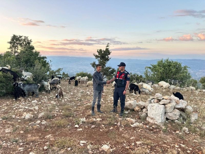 MERSİN’DE KAYIP 40 KÜÇÜKBAŞ DRONLA BULUNDU