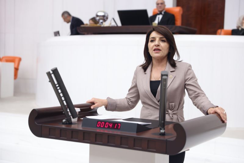 GÜLCAN KIŞ: 