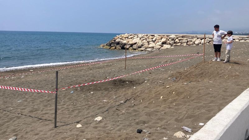 KORUMA ALANI DIŞINA YUVA YAPAN CARETTA CARETTA İÇİN ŞERİTLİ TEDBİR
