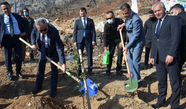 Vali Su, fidan dikim çalışmalarına katıldı