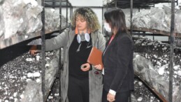 Mantar Yetiştirme Kursu İle İş Sahibi Oldular
