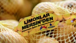 Limonlar 4 Büyükşehir İçin Mersin’den Yola Çıktı