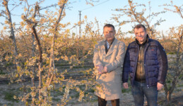 Varal, Tarım Bakanı’nı Tarsus’a davet etti