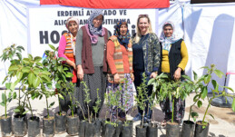 Erdemli’ye avokado ve alıç fidanı desteği