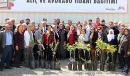 105 üreticiye avokado ve alıç fidanı