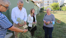 Tarhan adına zeytin fidanı dikildi