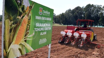 KAMUOYU YARARINA SİLAJLIK MISIR EKİLDİ
