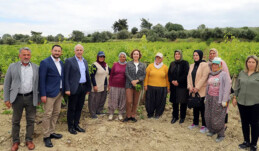 ÇİFTÇİLERE, SEMİNER VERİLECEK