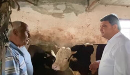 BESİCİLER AÇIK FATURA İLE YEM ALIYOR