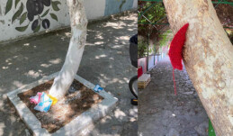ÖRGÜLÜ SOKAĞA VANDAL SALDIRI