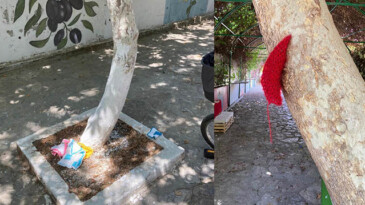 ÖRGÜLÜ SOKAĞA VANDAL SALDIRI