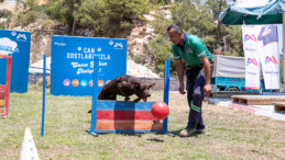 MERSİN’DE BİR İLK: ‘KÖPEK EĞİTİM ALANI’