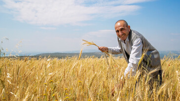 BUĞDAY BAŞAKLARI ÇİFTÇİLERİN YÜZÜNÜ GÜLDÜRDÜ