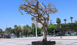 “MERSİN’İN İMAJINI DÜŞÜNÜN”