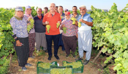 ESENLİ’Yİ ÜZÜM ŞENLİĞİ HEYECANI SARDI