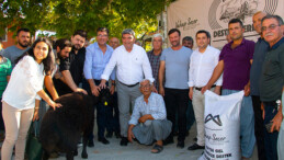 13 ÜRETİCİYE TOPLAM 325 KÜÇÜKBAŞ HAYVAN DAĞITILDI
