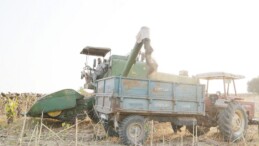 TARSUS’TA HASAT YAPILDI