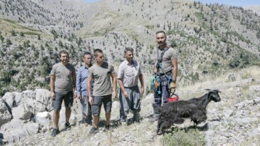YAMAÇTA MAHSUR KALAN KEÇİYİ İTFAİYE EKİPLERİ KURTARDI