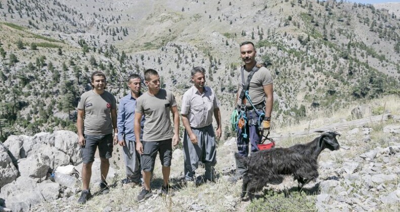 YAMAÇTA MAHSUR KALAN KEÇİYİ İTFAİYE EKİPLERİ KURTARDI
