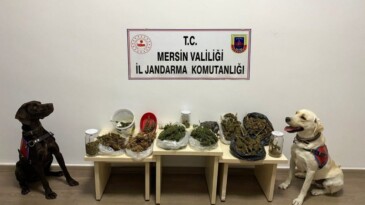 Uyuşturucu satıcıları jandarmadan kaçamadı