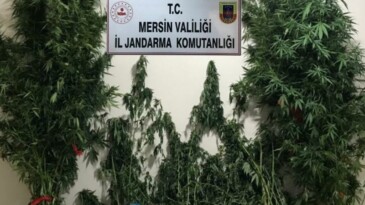 YASA DIŞI KENEVİR EKEN 3 ŞÜPHELİ YAKALANDI