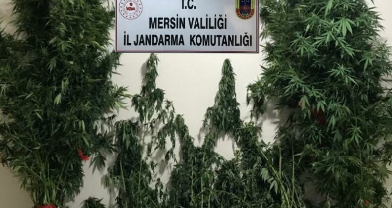 YASA DIŞI KENEVİR EKEN 3 ŞÜPHELİ YAKALANDI