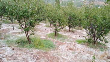 Yüksek kesimlerde dolu etkili oldu