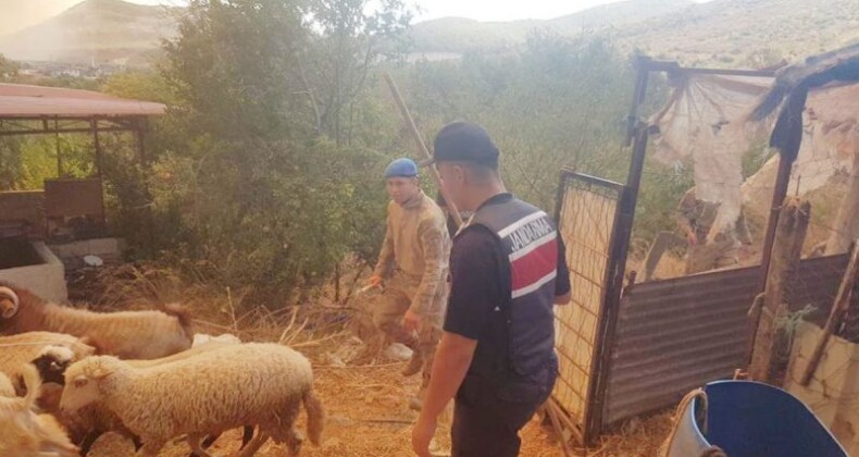 JANDARMADAN YANGIN SÖNDÜRME  ÇALIŞMALARINA DESTEK