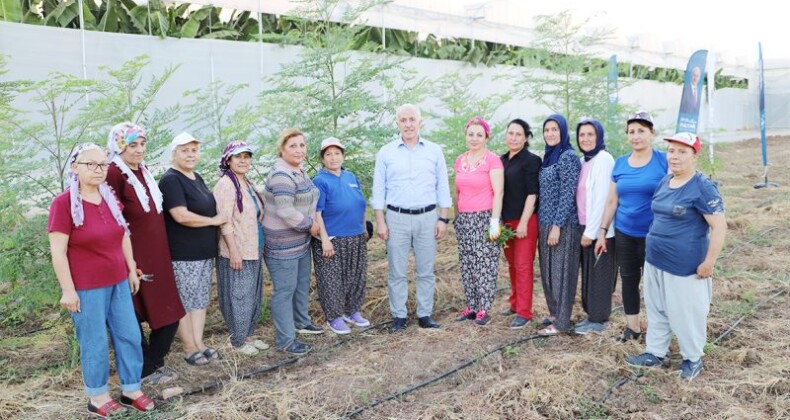 AKDENİZ BELEDİYESİ, DAĞI BAĞA ÇEVİRDİ