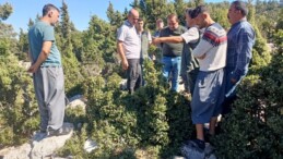 Tarsus’ta defne üretim tatbikatı yapıldı