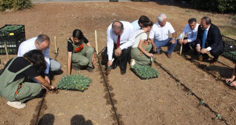 Öğrenciler kışlık sebze fideleri dikti
