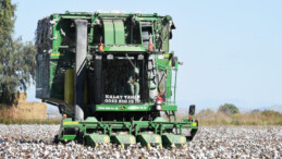 Çukurova’nın Beyaz Altın’ı  çiftçilerin yüzünü güldürdü