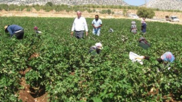 “ÇUKOBİRLİK desteklenmeli“