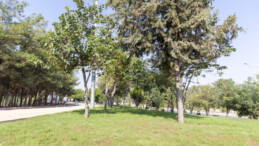 68’liler Barış Ormanı’nın  kente kattığı değer arttı