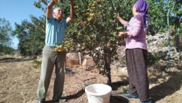 Alıç emekli çiftin yüzünü güldürdü