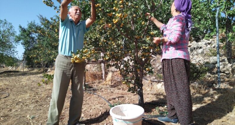 Alıç emekli çiftin yüzünü güldürdü