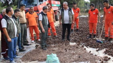 Mersin’de 450 milyon adet tohum ekilecek!