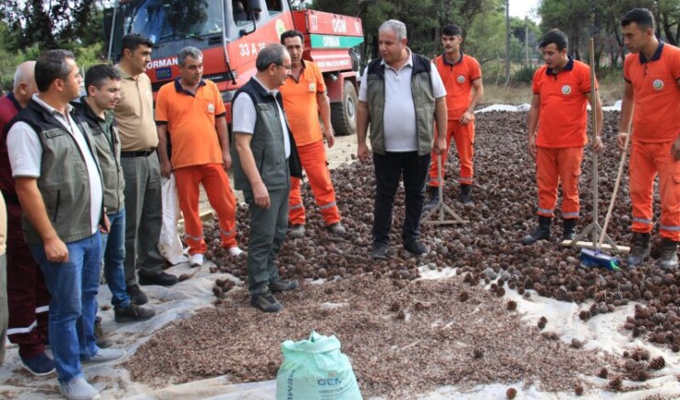 Mersin’de 450 milyon adet tohum ekilecek!