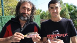 Zehirli dikenli çizgili kedi balığı Akdeniz’e yerleşti