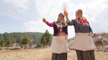 Çiftçiler Toros Dağları’nda üretime katılıyor