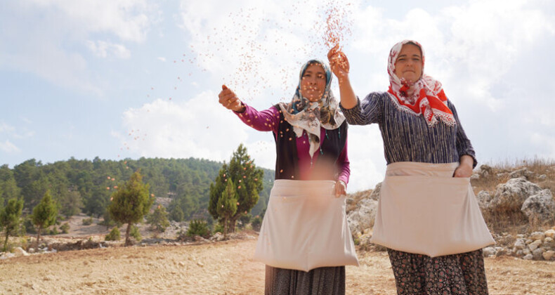 Çiftçiler Toros Dağları’nda üretime katılıyor