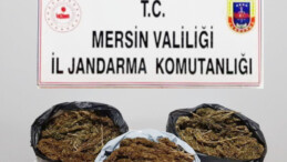 Toroslar’da 10 kilo 248 gram skunk ele geçirildi