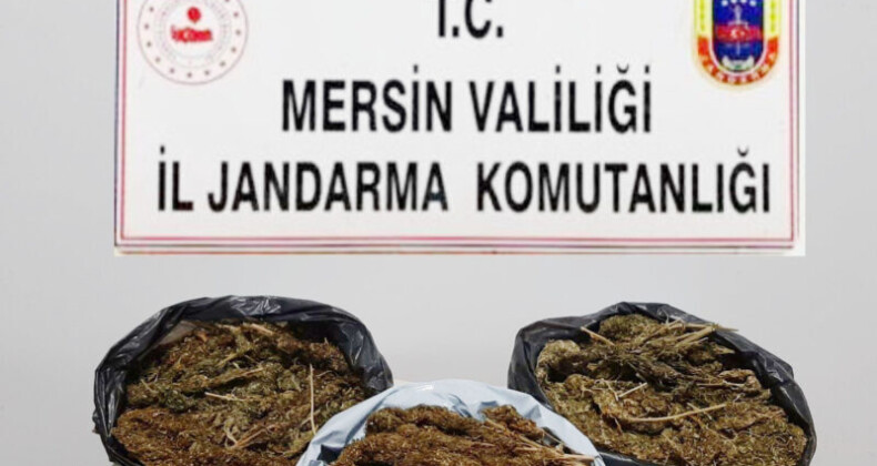 Toroslar’da 10 kilo 248 gram skunk ele geçirildi