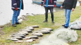 Yasa dışı balık avlayan 5 kişiye para cezası verildi