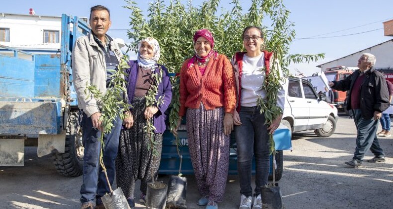 600 dekar alan badem fidanlarıyla buluşuyor