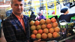 Domates üreticisinin yüzü gülüyor