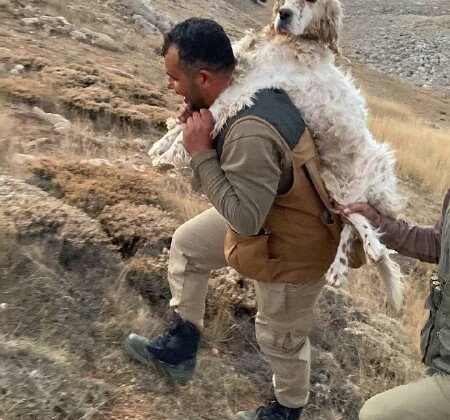 Yorulan köpeğini 5 kilometre sırtında taşıdı