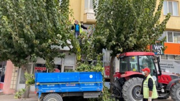 Mut’ta temizlik çalışmaları
