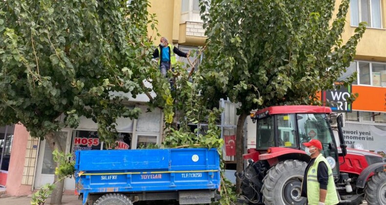 Mut’ta temizlik çalışmaları
